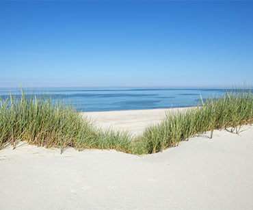 Stranden i Danmark med hvite sanddyner