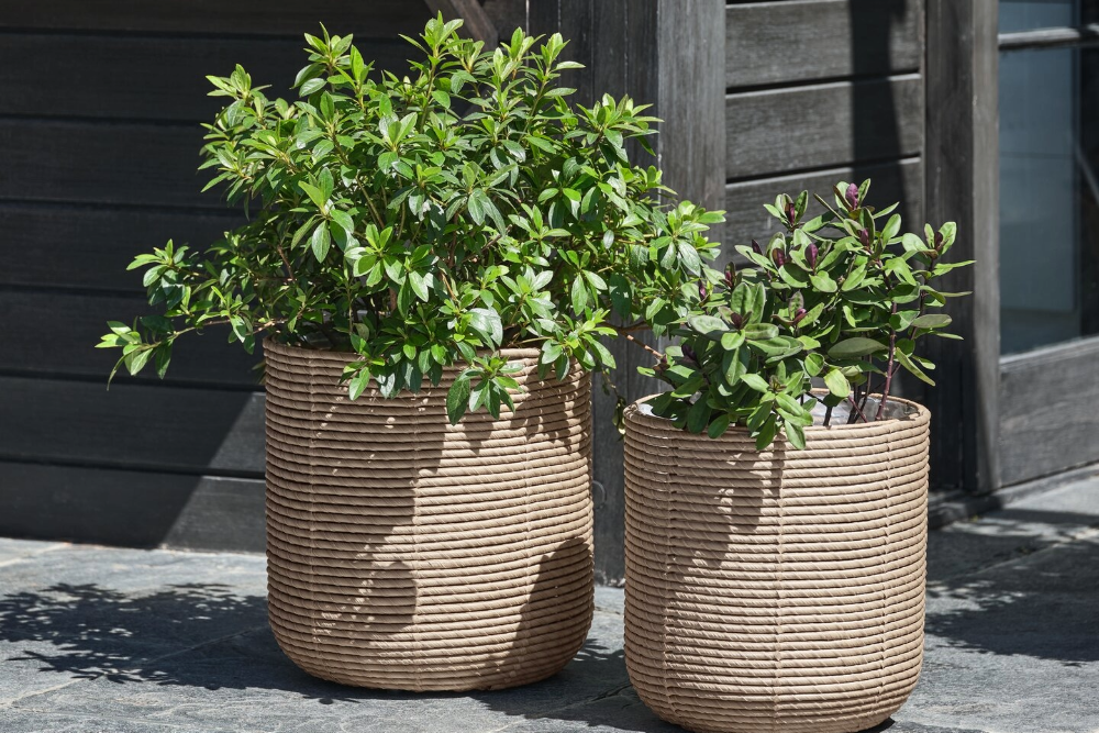 Spar 30-60% på utvalgte blomsterpotter og kurver