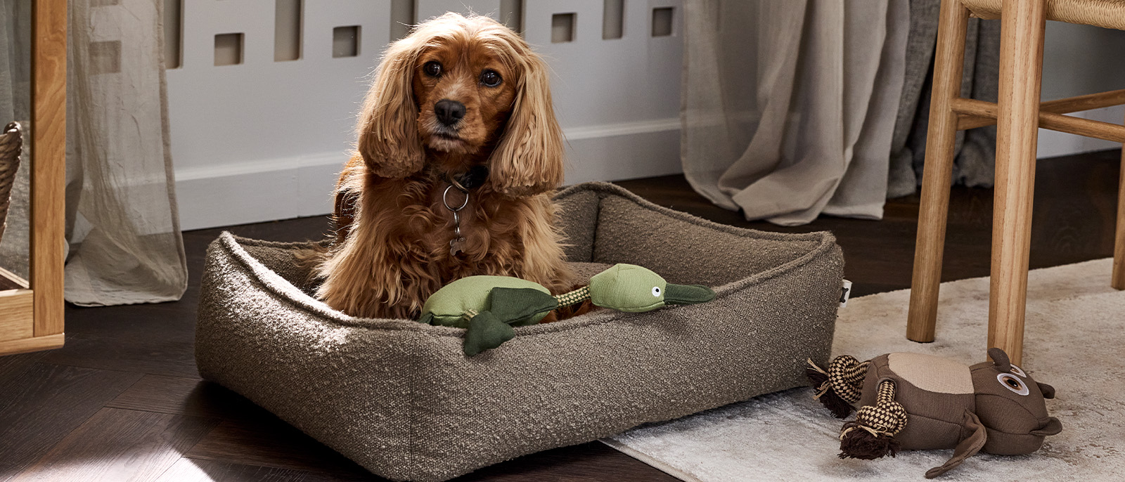 Utforsk vår samling av hverdagsnødvendigheter for menneskets beste venn Søt hund som slapper av i en myk og deilig hundeseng med hundeleker i stua