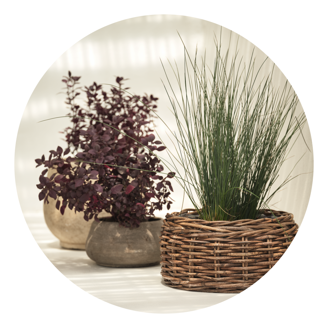 Blomsterpotter og plantekasser til uteplassen