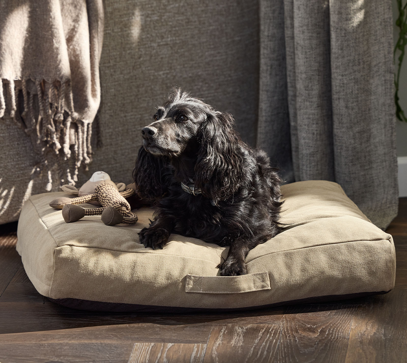KVARTSIT hundeseng med fyll av memoryskum er tilgjengelig i to størrelser En svart hund ligger i en komfortabel khakifarget hundeseng med fyll av memoryskum