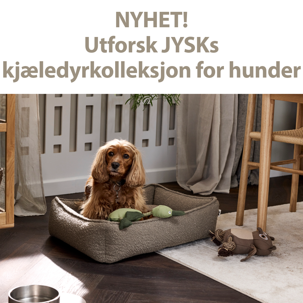 Oppdag nyhetene til dine kjæledyr